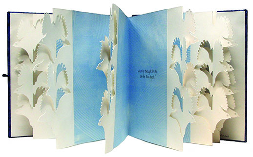 artist's book