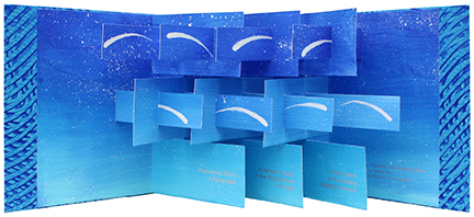 artist's book