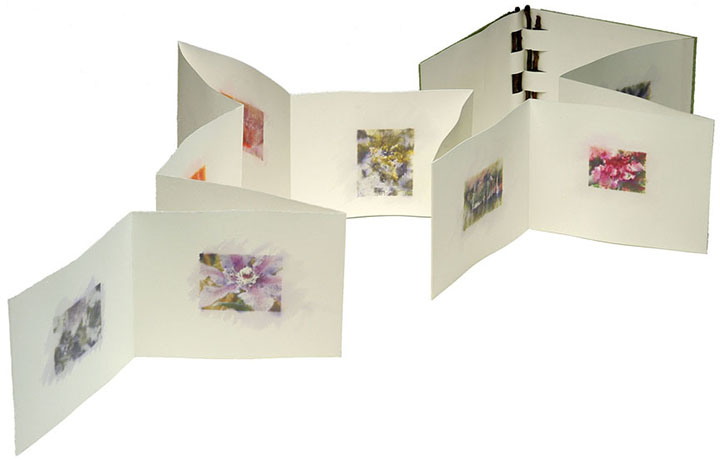 artist's book