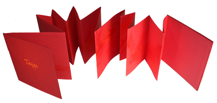 artist's book