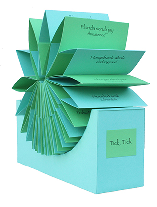 artist's book