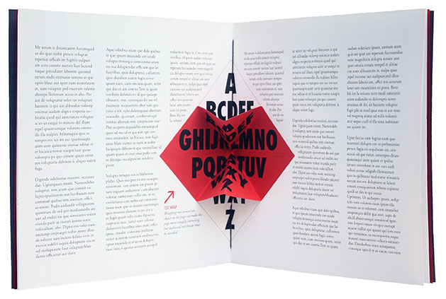 artist's book